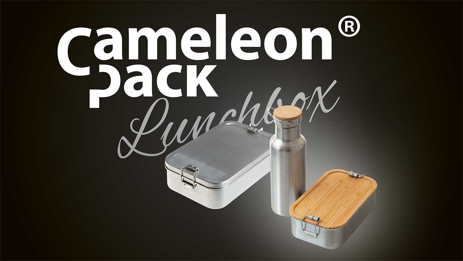 Boîtes métalliques lunch box multicolores